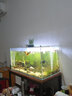 益科達海缸燈led海水魚缸燈水草小丑魚珊瑚專用可調(diào)焦藍白補光造景夾燈 16.8W手機控制升級可調(diào) 定時開關(guān)100缸 曬單實拍圖