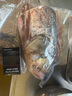 密園小農  魚(yú)北京密云水庫 胖頭魚(yú)頭花蓮現捕淡水花鰱生鮮黃辣丁 胖頭【魚(yú)頭】約4斤 曬單實(shí)拍圖
