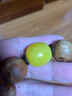 芳北怡蜜蠟配珠鼓珠隔珠散珠珠子金剛配飾單珠星月菩提文玩手串配件大全 雞油黃桶珠20直徑*20mm對孔/單 曬單實拍圖