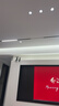 馬卡龍創(chuàng  )意卡通坐姿長(cháng)耳兔擺件輕奢客廳電視柜酒柜玄關(guān)裝飾品CSL 黑色長(cháng)耳兔 套裝 曬單實(shí)拍圖