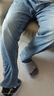貓人牛仔褲男【涼感萊賽爾】春夏薄款透氣潮流青年百搭直筒經典長褲男 曬單實拍圖