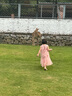 愛(ài)他美德國白金版德愛(ài)白金愛(ài)他美德版經(jīng)典版嬰幼兒寶寶新生兒奶粉 德愛(ài)白金2+段【入會(huì )享折扣】 曬單實(shí)拍圖