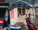 齊選全折疊雨棚電動(dòng)車(chē)雨篷棚電瓶摩托車(chē)防風(fēng)擋雨防曬伸縮遮陽(yáng)傘不怕查 快拆裝全折疊【灰盤(pán)兔】雙面印花 曬單實(shí)拍圖