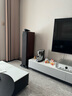 B&W寶華韋健  700系列702S3落地主音箱+MODEL40功放機+CD60 高保真HIFI家庭影院2.0無源 曬單實拍圖
