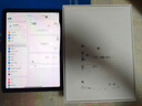 Apple/蘋(píng)果 iPad Air 11英寸 M3芯片2025年款 平板電腦 (256GB WLAN版)紫色 曬單實(shí)拍圖