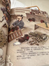 狐貍家三國演義繪本10冊(cè) 狐貍家繪本兒童故事書 四大名著兒童版漫畫書經(jīng)典兒童課外閱讀3-9歲 圖書 曬單實(shí)拍圖
