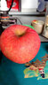 陜西白水瑞陽(yáng)蘋(píng)果脆甜水果西北農林科技大學(xué)研發(fā)新鮮 小果5斤 曬單實(shí)拍圖