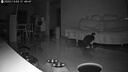 神眸4g終身免流量攝像頭監(jiān)控器360度無(wú)死角帶夜視 免插電大視野旋轉(zhuǎn)云臺(tái)高清手機(jī)遠(yuǎn)程智能看護(hù)無(wú)需wifi 曬單實(shí)拍圖