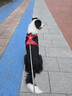 拉夫威爾ruffwear福朗特胸背狗狗胸背帶大小型犬拉布拉多背心式牽引背帶 峽谷紅 M 曬單實(shí)拍圖