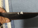 樂斯汀真皮表帶專用膠水粘pu皮手表帶鱷魚皮帶皮衣皮夾強(qiáng)力皮革修復(fù)膠水 曬單實(shí)拍圖