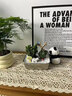 綠蔭巷子仙人掌盆栽植物室內辦公桌面綠植花卉辦公室桌面解壓送禮禮物創(chuàng  )意 【無(wú)擺件款】沙漠便當 曬單實(shí)拍圖