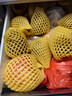 佳沛（zespri）新西蘭陽(yáng)光金果10個(gè)裝單果重約85-103g 水果 獼猴桃 源頭直發(fā) 曬單實(shí)拍圖