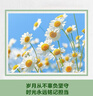 訊迪【360°旋轉支架】適用三星S25 ultra手機殼Galaxy S25ultra防摔保護套透明鏡頭全包手機套保護殼 曬單實(shí)拍圖