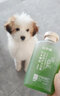 嬉皮狗（hipidog）寵物沐浴露抑菌除螨沐浴液寵物洗澡專(zhuān)用犬貓通用沐浴露除臭留香 300ml 1瓶 漢寧堂寵物修護沐浴露  無(wú)規格 曬單實(shí)拍圖