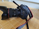 佳能/Canon 5D3 5D4 5D2 6D 6D2 5DS 5DSR 全畫幅二手單反相機 佳能6D2+24-105 F4L IS套機 【99新】 曬單實拍圖