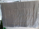 水星家纺抗菌100%新疆棉花冬被子约4.5斤150*210cm白 实拍图