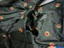 芷蘅間 喵唐錄 2025新款漢服女春秋新中式國風(fēng)連衣裙上班可以穿著的漢服 連衣裙 預(yù)售30天 S 曬單實拍圖