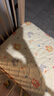BEYONDHOME BABY博洋母嬰全棉床墊幼兒園床墊子寶寶午睡墊被褥子獅子王國60*135cm 曬單實(shí)拍圖