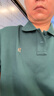 哈吉斯（HAZZYS）男裝 春秋季polo領(lǐng)男上衣棉彈寬松翻領(lǐng)衛衣男ABTZE0CCX37 曬單實(shí)拍圖