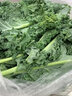 羽衣甘藍(lán)新鮮 綠色沙拉蔬菜涼拌甘蘭嫩葉榨汁西餐食材 500g 曬單實(shí)拍圖