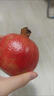 南步山東棗莊黑籽酸石榴 嶧城特產(chǎn)冠世榴園鴿血黑籽可泡酒酸甜石榴 5斤 精選大果【單果約8兩】 曬單實(shí)拍圖