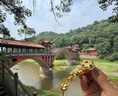 紀(jì)梵蒂 GEFIODEY黃銅如意貔貅手把件創(chuàng)意隨身把玩解壓小擺件生日新年禮物送禮 銅鎏金貔貅轉(zhuǎn)寶如意手把件 曬單實(shí)拍圖