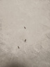 戶凈滅蟑螂煙劑蜘蛛蚊子克星跳騷臭蟲家用殺蟲煙霧蒼蠅除螞蟻熏蒸 1包【6枚裝】 曬單實拍圖