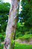 索尼（SONY）【保價11.11】FE 24-70mm F2.8 GM II 全畫幅標準變焦 G大師鏡頭(SEL2470GM2) 曬單實拍圖