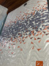 喜临门进口乳胶椰棕床垫 抗菌防螨独袋弹簧床垫 蝶梦2S 1.5x1.9米 实拍图