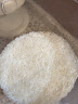 十月稻田 23年新米 五常稻香米 五常大米 10kg 东北大米 实拍图
