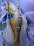 太湖?！居袡C無(wú)抗大黃魚(yú)】鮮活黃花魚(yú)冰鮮冷凍深海水產(chǎn)野化魚(yú)類(lèi)中秋禮盒 凍品-有機大黃魚(yú)（400g*2條） 曬單實(shí)拍圖
