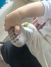 愛(ài)寶適嬰兒襪子春秋寶寶學(xué)步地板襪防滑隔涼腳套兒童早教襪3雙裝M碼S242 曬單實(shí)拍圖
