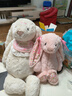 Jellycat害羞乳白色邦尼兔動(dòng)物毛絨玩偶安撫玩偶娃娃生日新婚禮物 花布胭脂粉色邦尼兔（徹蕊） Medium 曬單實(shí)拍圖