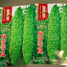 綠苦瓜種子早熟疙瘩綠苦瓜種籽耐熱四季易種活蔬菜苦瓜種子 綠苦瓜種子【2包 約20?！?曬單實(shí)拍圖