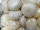 壹萌果蔬口蘑新鮮【順豐冷鏈】雙孢菇鮮菌菇白蘑菇菌菇口菇 【精選AA+級】500g 曬單實拍圖