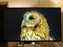 FFALCON雷鳥(niǎo)U8 25款 27英寸4K165Hz 1152分區QD-MiniLED電競顯示器 雙音響 Type-C 90W HDR1400辦公電腦顯示屏 曬單實(shí)拍圖