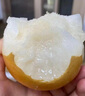 悠軼山東萊陽秋月梨子冰糖豐水雪梨脆甜現(xiàn)摘新鮮水果中秋禮盒 凈重4.5斤家庭裝【單果7-8兩起】 A+級頭茬現(xiàn)摘 曬單實拍圖