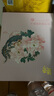 迷奇牡丹保濕爽膚水精華水禮盒收斂清爽柔膚噴霧女補水保濕干皮濕敷 曬單實拍圖