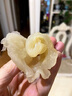 深海魚膠補充氣血龍須膠 黃花膠干貨北海魚膠花膠魚肚魚泡魚鰾孕婦 新西蘭品種北海-鱈魚膠【25g】-試吃 曬單實拍圖