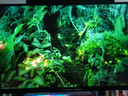 泰坦軍團27英寸 2304分區(qū) MiniLED 4K170Hz雙模340Hz DyDs技術 HDR1400 Type-C 90W 電競顯示器P275MV MAX 曬單實拍圖
