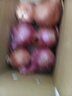 京鮮生 河南紫皮洋蔥帶皮 凈重5斤 單果300g+ 新鮮蔬菜源頭直發(fā) 曬單實(shí)拍圖