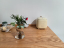 水培植物綠植盆栽好養易活凈化空氣辦公桌面室內花卉綠蘿金鉆白掌 袖珍椰子+【含火山玻璃瓶】+送液 曬單實(shí)拍圖
