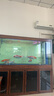 森森（SUNSUN）魚(yú)缸燈水草燈全光譜led燈防水燈管水族燈爆藻燈水陸兩用燈管 夢(mèng)之紅（紅魚(yú)不紅水） 適合1.5m魚(yú)缸 22W獨立開(kāi)關(guān) 長(cháng)130cm 曬單實(shí)拍圖