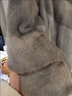 皮爾卡丹高檔水貂皮大衣整貂皮草外套貂絨女貂2025新款帶連帽九分袖母貂裘 灰色原版 正品【專(zhuān)柜品質(zhì)】 L 建議110-120斤 曬單實(shí)拍圖