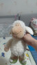 NICI生日礼物女生玩偶睡帽羊小羊玩偶毛绒玩具可爱抱枕毛绒娃娃送女孩 实拍图