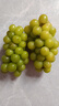 陽(yáng)光玫瑰葡萄晴王青提新鮮應季水果一斤也是批發(fā)價(jià)-1 帶箱2斤大果【單果克重8g-15g】（凈重約1.5斤） 曬單實(shí)拍圖