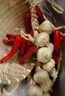 榮花施 仿真辣椒串農家樂(lè )飯店裝飾品蔬菜模型擺設擺件道具白蒜串掛件 10頭帶皮白蒜【1串】 曬單實(shí)拍圖