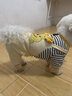MIKI PAD狗狗衣服小型犬春秋款貓咪衣服四腳衣可牽引小狗衣服泰迪比熊 黃色小熊背帶褲 XL背長40cm（參考體重11-15斤） 曬單實拍圖
