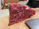 小茅灘 原切牛肉寧夏新鮮黃牛肉牛腿肉整塊后腿肉燒烤火鍋食材生鮮清真 10斤黃牛肉 曬單實(shí)拍圖