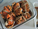 【全母大閘蟹】大閘蟹花雕熟醉蟹 熟食螃蟹 中秋送禮 送長(cháng)輩領(lǐng)導 12只裝(2.2-2.5兩) 1320g 簡(jiǎn)裝 曬單實(shí)拍圖